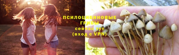 эйфоретик Абаза