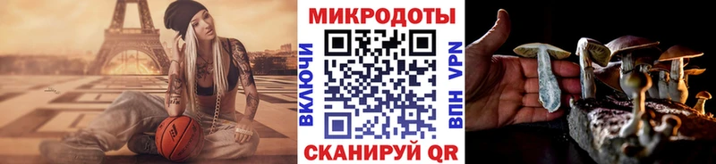 мега онион  сайты даркнета Telegram  Псилоцибиновые грибы ЛСД  Ялуторовск 