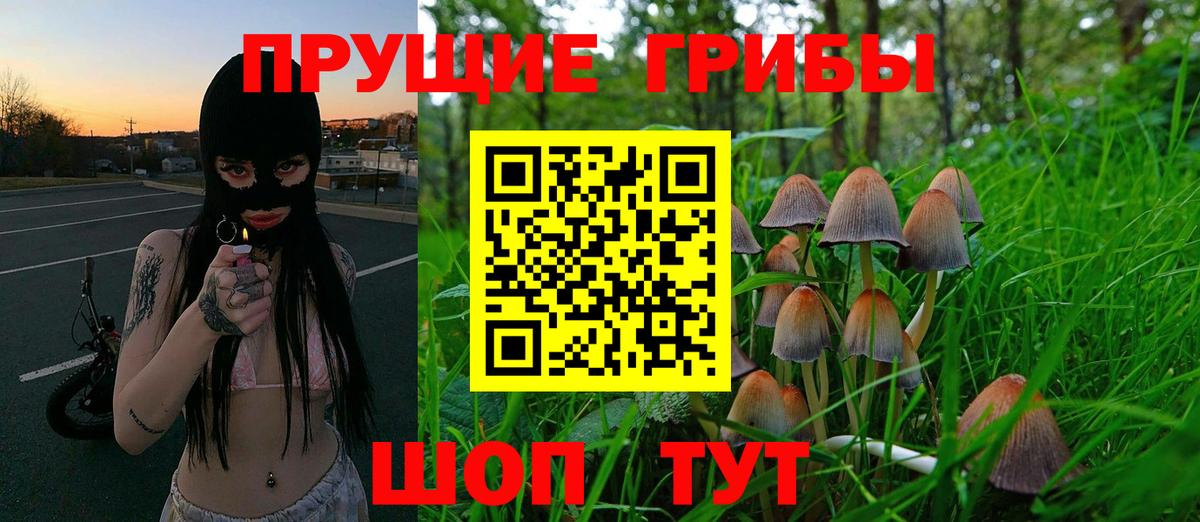 Галлюциногенные грибы Magic Shrooms Ялуторовск