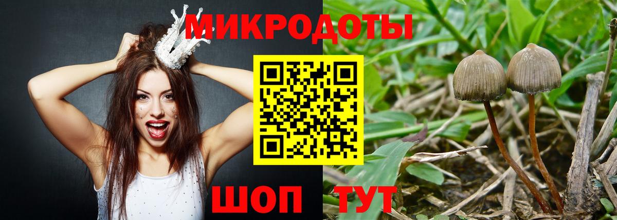 Псилоцибиновые грибы Psilocybe  Вход с VPN  Ялуторовск  Псилоцибиновые грибы мицелий 